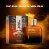 Wild Stone Cigar Perfume for Men,100ml