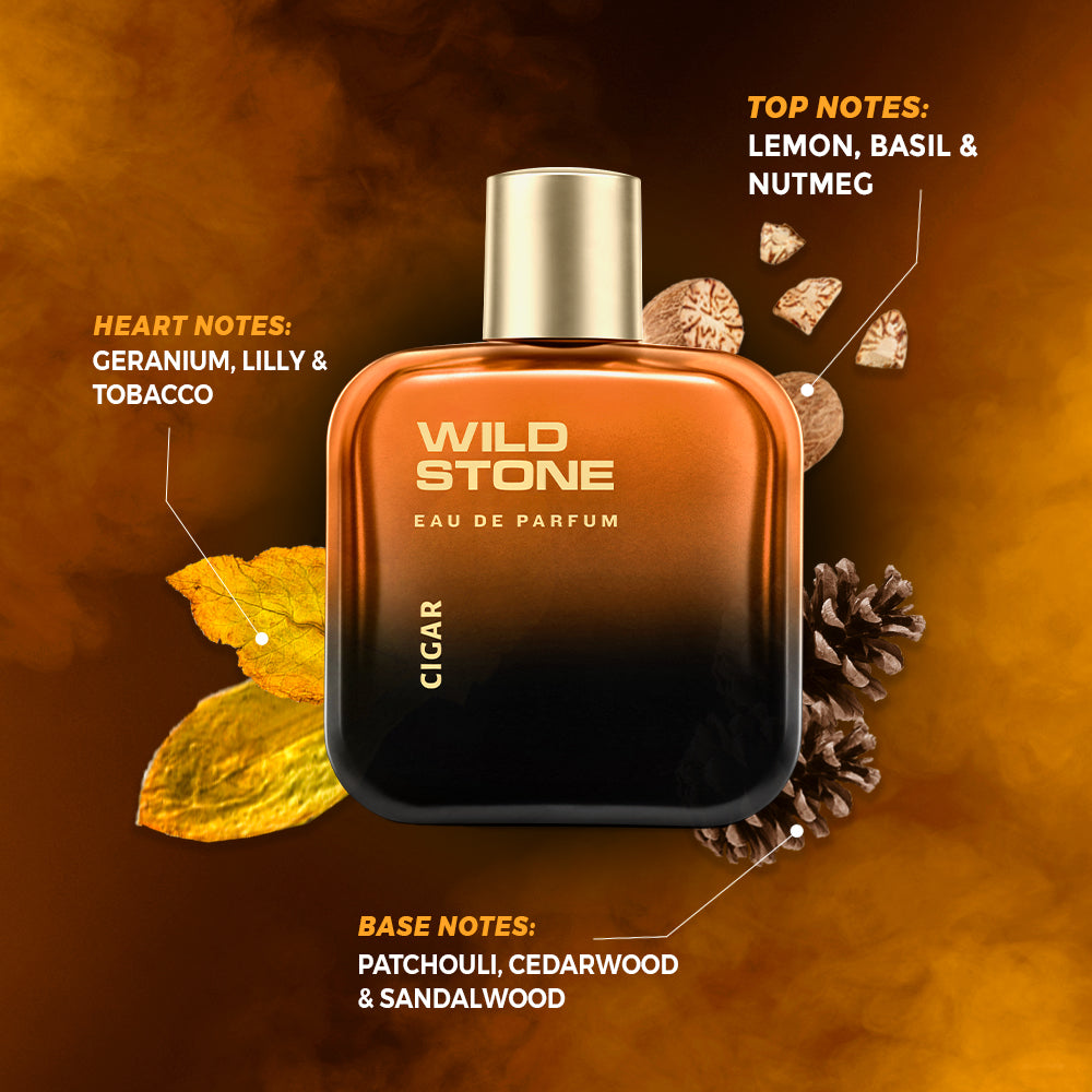 Wild Stone Cigar Perfume for Men,100ml