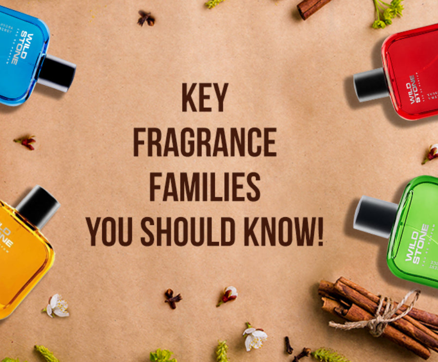 01 wild stone perfumes for men