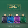 Wild Stone Boss and Chief Perfume, Pack of 2 (100ml each)