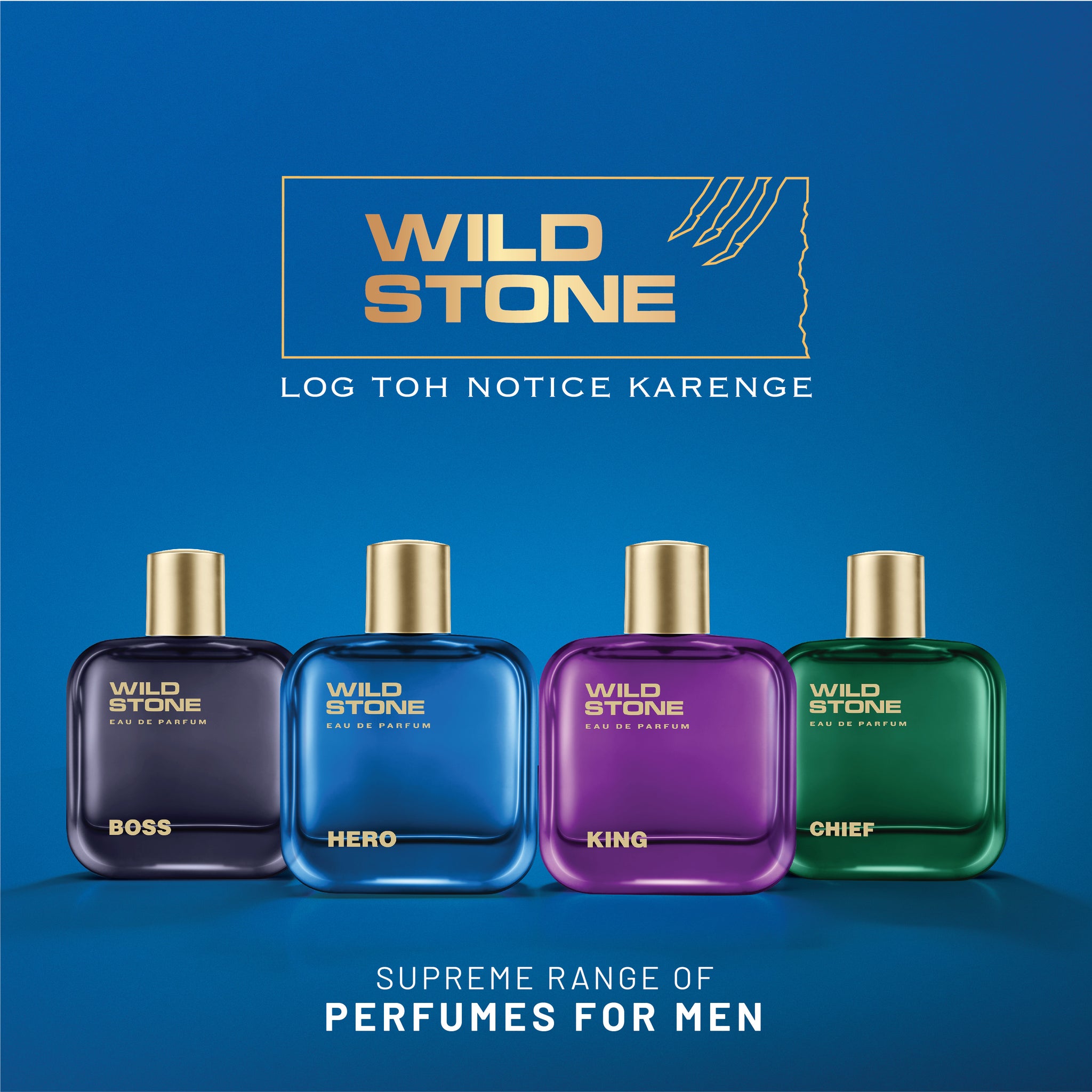 Wild Stone Note Wild Stone Hero Perfume for Men 100 ml