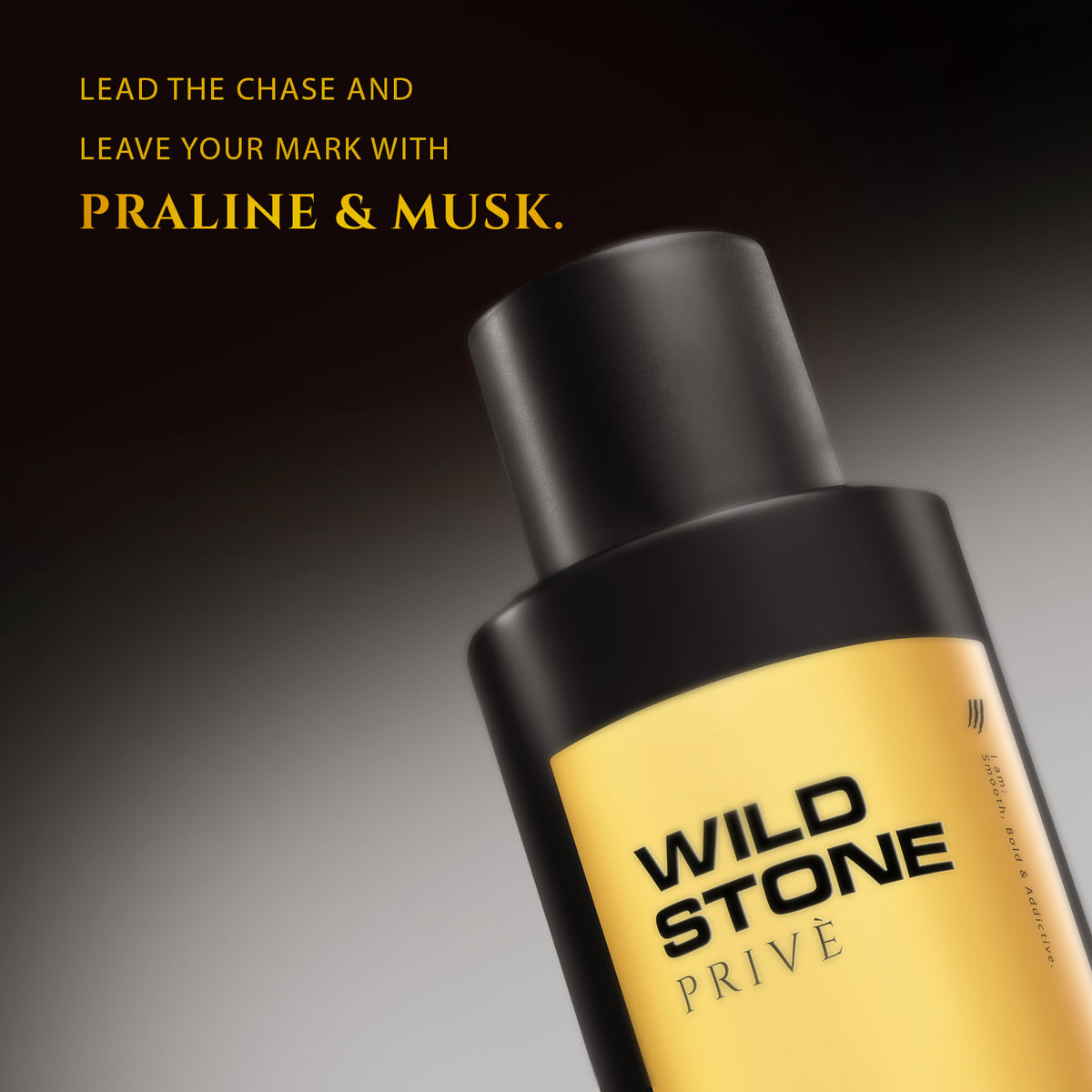 Wild Stone Prive W°3  Wild Stone W3 Praline & Musk Parfum for Men 100ml | Luxury Long Lasting Fragrance | Warm, Vanilla & Gourmand Fragrance | Premium Men's Perfume