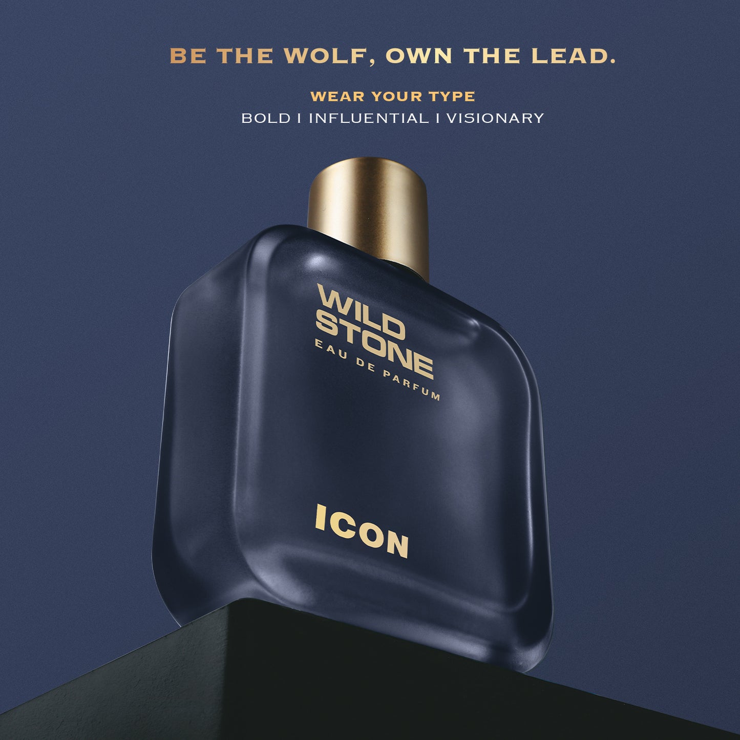 Wild Stone Icon Perfume for Men 100 ml