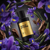 Wild Stone Prive W°2 Iris & Cedar Parfum for Men 100ml | Luxury Long Lasting Perfume