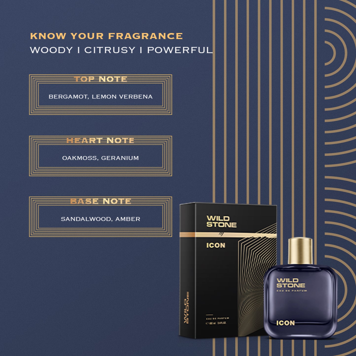 Wild Stone Icon Perfume for Men 100 ml