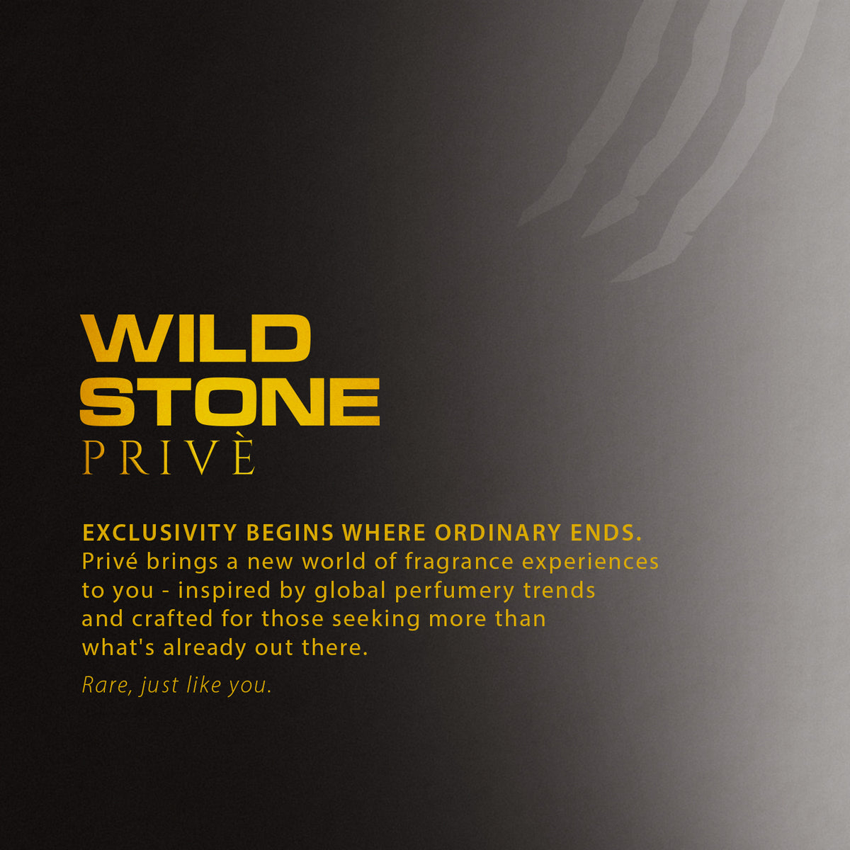 Wild Stone Prive W°1 Saffron & Oud Parfum for Men 100ml | Luxury Long Lasting Perfume | Rich, Oud & Woody Fragrance | Premium Men's Perfume