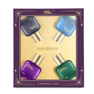 Wild Stone Chief, Hero, Icon and King Perfume Combo for Men, Long Lasting Smell | Pack of 4 (30ml each)