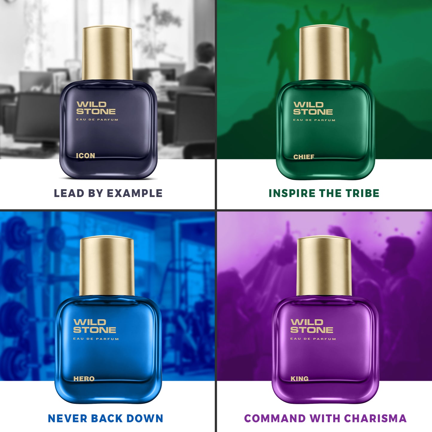 Wild Stone Chief, Hero, Icon and King Perfume Combo for Men, Long Lasting Smell | Pack of 4 (30ml each)