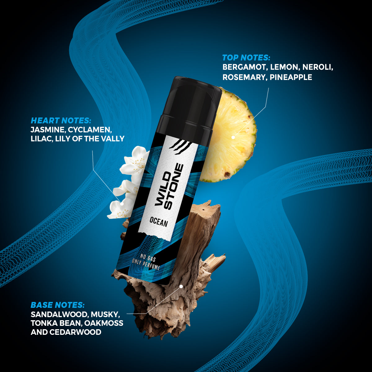 Wild Stone Intense Ocean No Gas Deodorant, 120ml