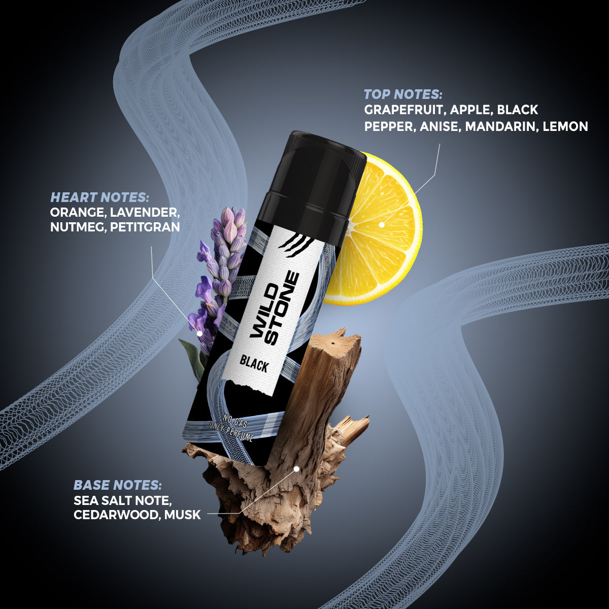 Wild Stone Intense Black No Gas Deodorant, 150ml