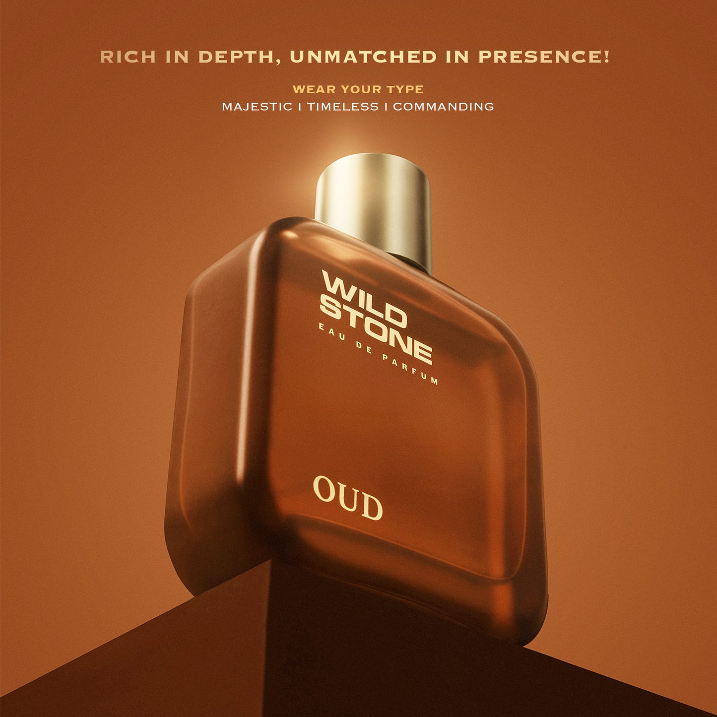 Wild Stone Oud Perfume for Men 100 ml