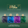Wild Stone King & Boss Perfume Combo for Men, 2 X 100ml