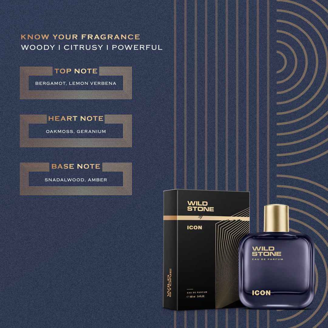 Wild Stone Boss and Chief Perfume, Pack of 2 (100ml each)